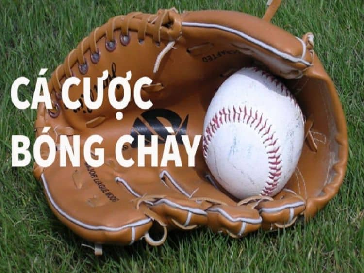 cá cược bóng chày