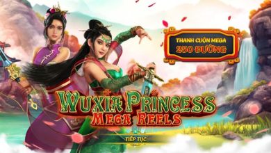 Wuxia Princess: Mega Reels